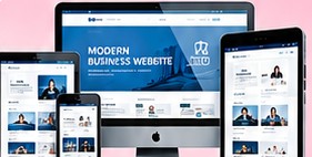 Servis bina website